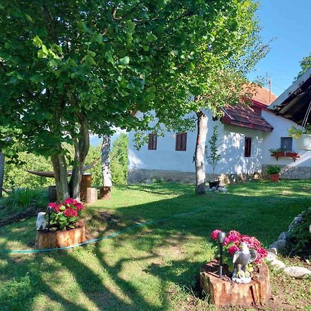 Etno guest house Lalovic Tjentiste Exterior foto