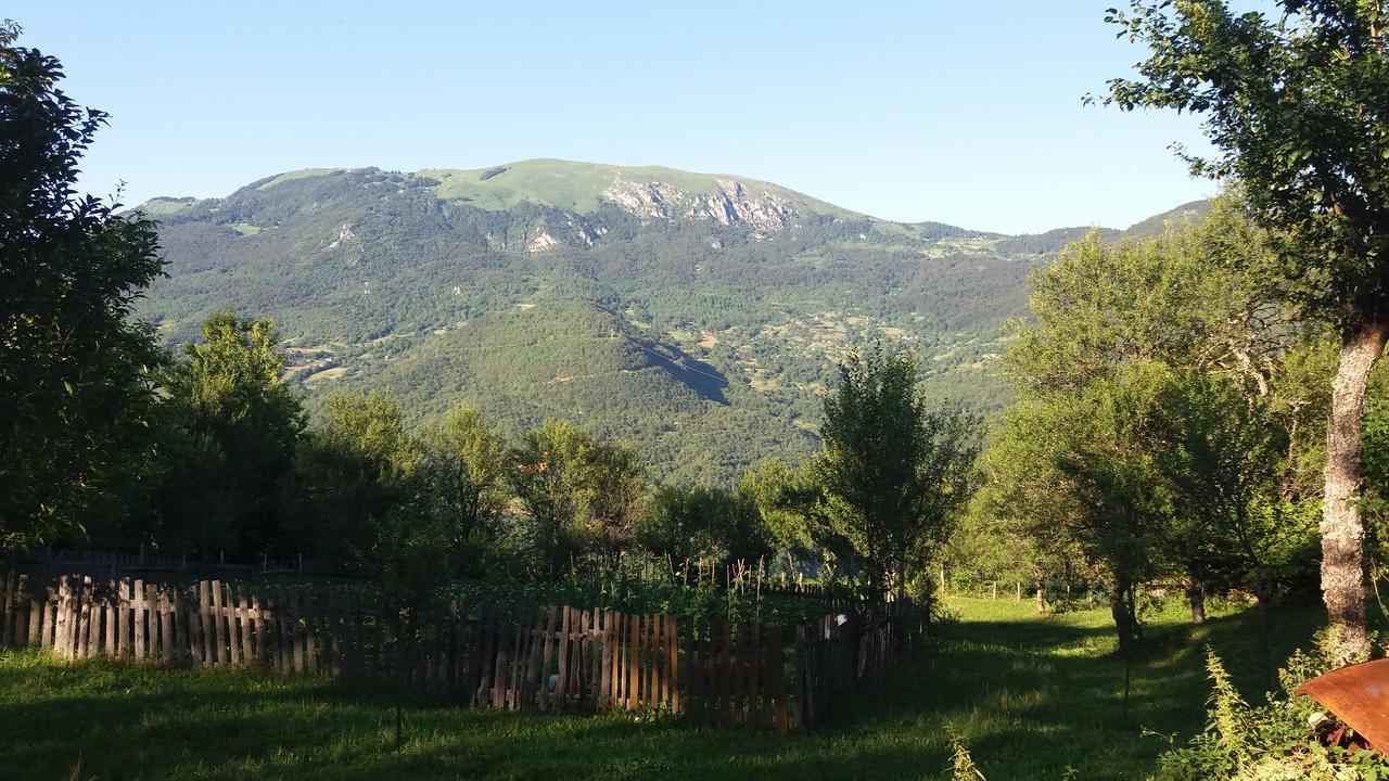 Etno guest house Lalovic Tjentiste Exterior foto