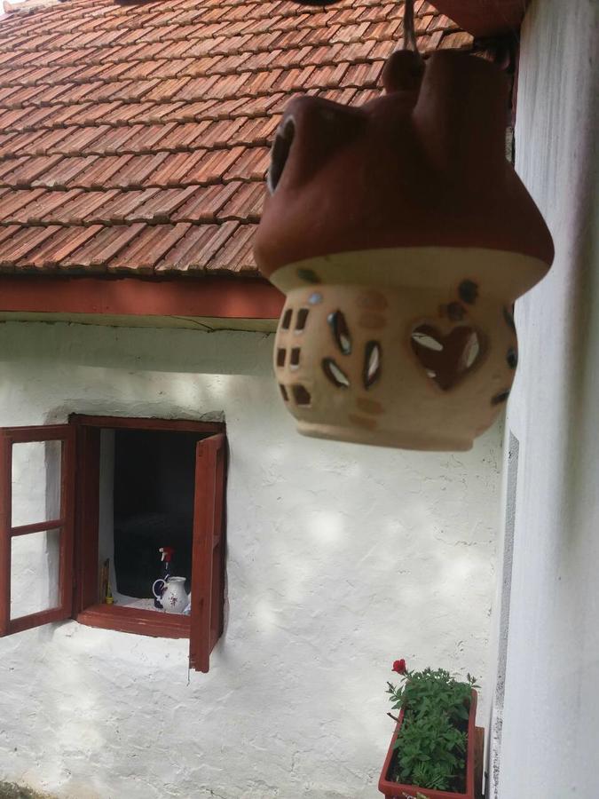 Etno guest house Lalovic Tjentiste Exterior foto